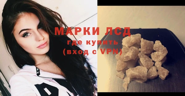 молекула духа Снежногорск