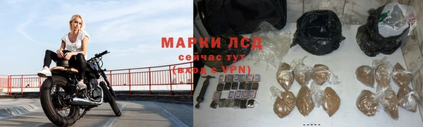 ПСИЛОЦИБИНОВЫЕ ГРИБЫ Балабаново