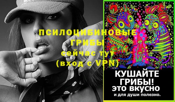 ПСИЛОЦИБИНОВЫЕ ГРИБЫ Балабаново