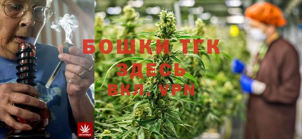 ПСИЛОЦИБИНОВЫЕ ГРИБЫ Балабаново