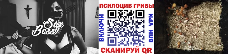 Галлюциногенные грибы Cubensis  Зеленоградск 